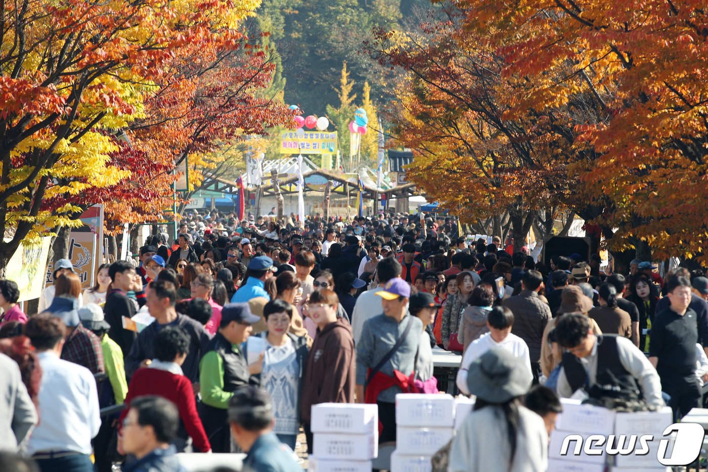 본문 이미지 - 지난 2018년 열린 이천쌀문화축제 때 모습.(이천시 제공)