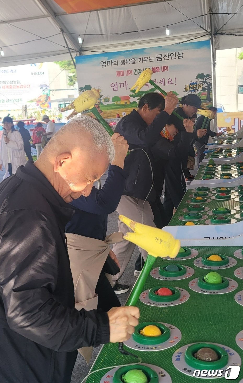 본문 이미지 - 축제장을 찾은 관람객들이 인삼 모형의 망치로 질병을 잡는 ‘인삼두더지 게임’을 하고 있다. / 뉴스1 