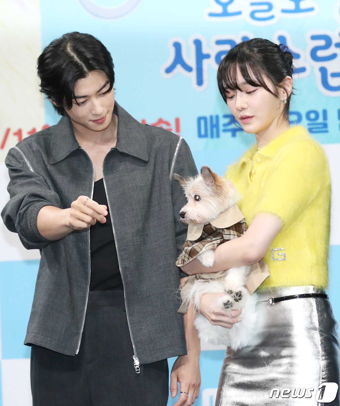 본문 이미지 - 배우 차은우가 11일 오후 서울 상암동 MBC 골든마우스홀에서 열린 드라마 '오늘도 사랑스럽개' 제작발표회에서 개의 시선을 사로잡고 있다. ⓒ News1 권현진 기자