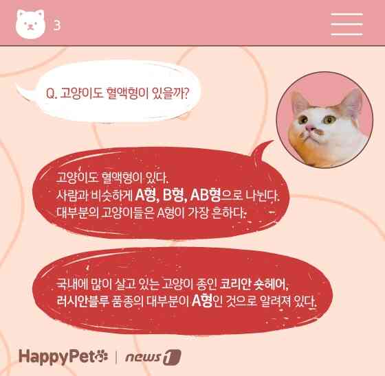 고양이 혈액형 펫카드 © 뉴스1