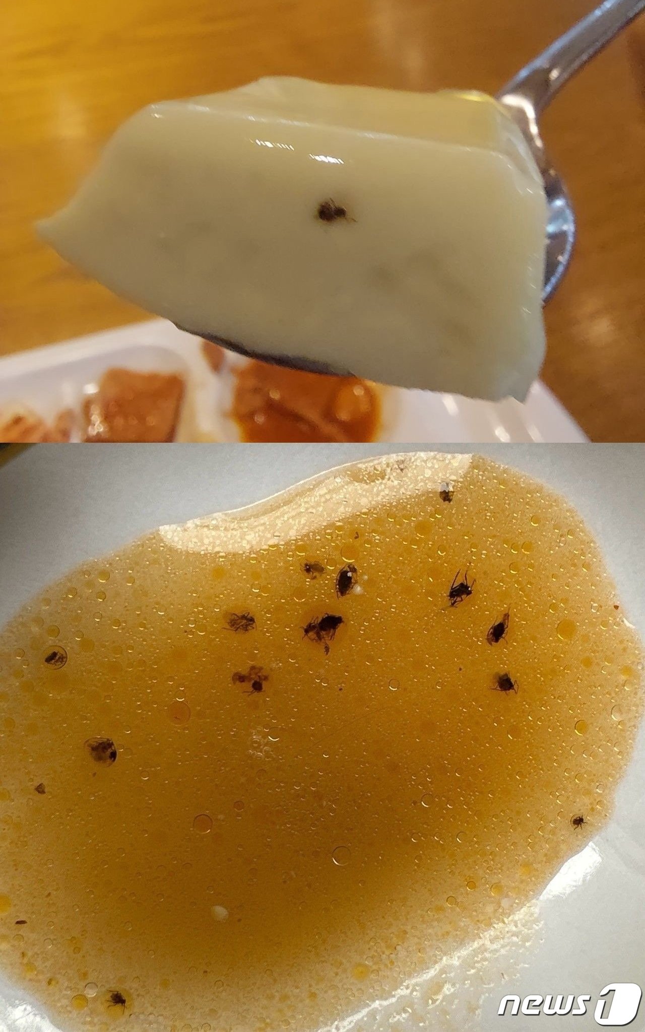 본문 이미지 - (온라인 커뮤니티 갈무리)