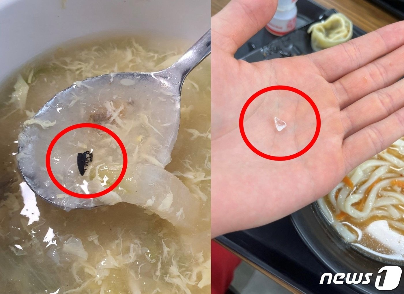 본문 이미지 - (온라인 커뮤니티 갈무리)