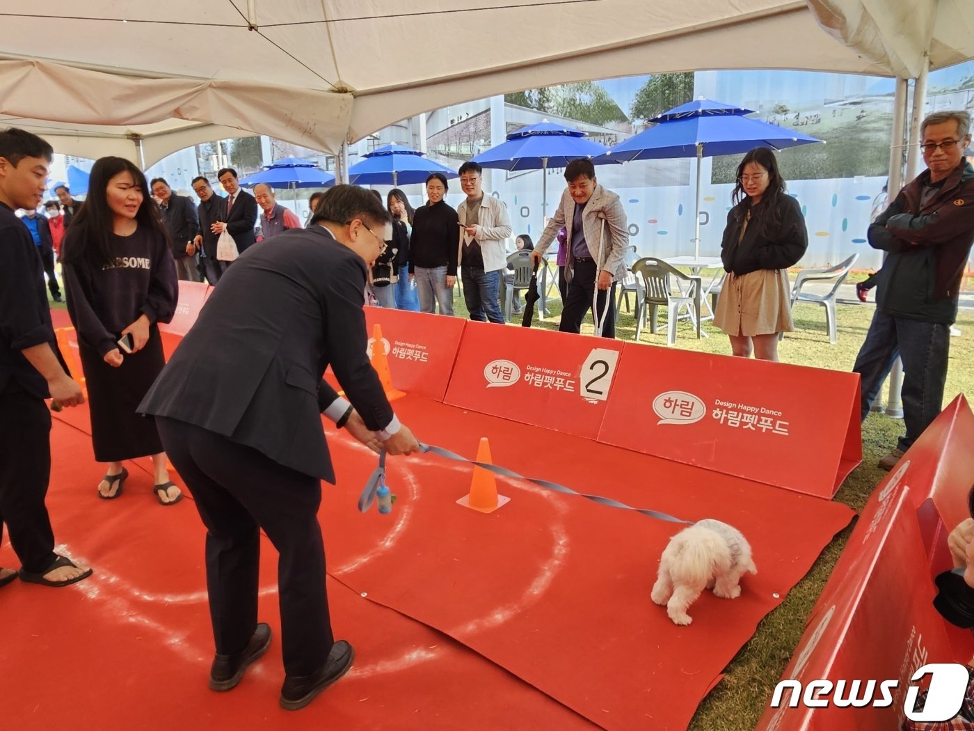 서울 금천구 금나래중앙공원에서 반려동물의날을 맞아 &#39;동네방네 행복하개&#39;라는 행사가 열렸다. 사진은 반려견 장애물 달리기 행사 모습.