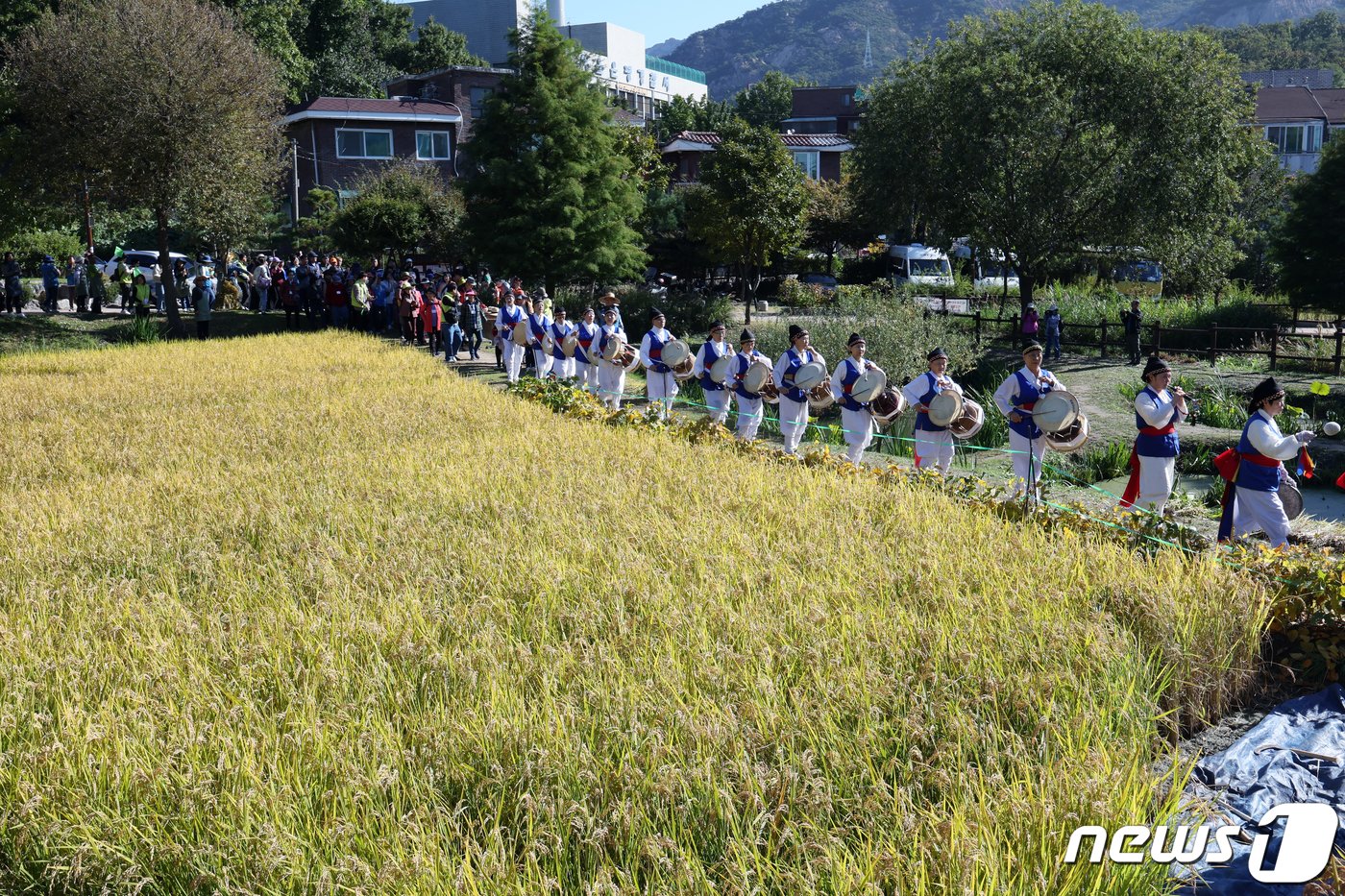 본문 이미지 - 서울 은평구 불광동 향림도시농업체험원 ⓒ News1 박정호 기자