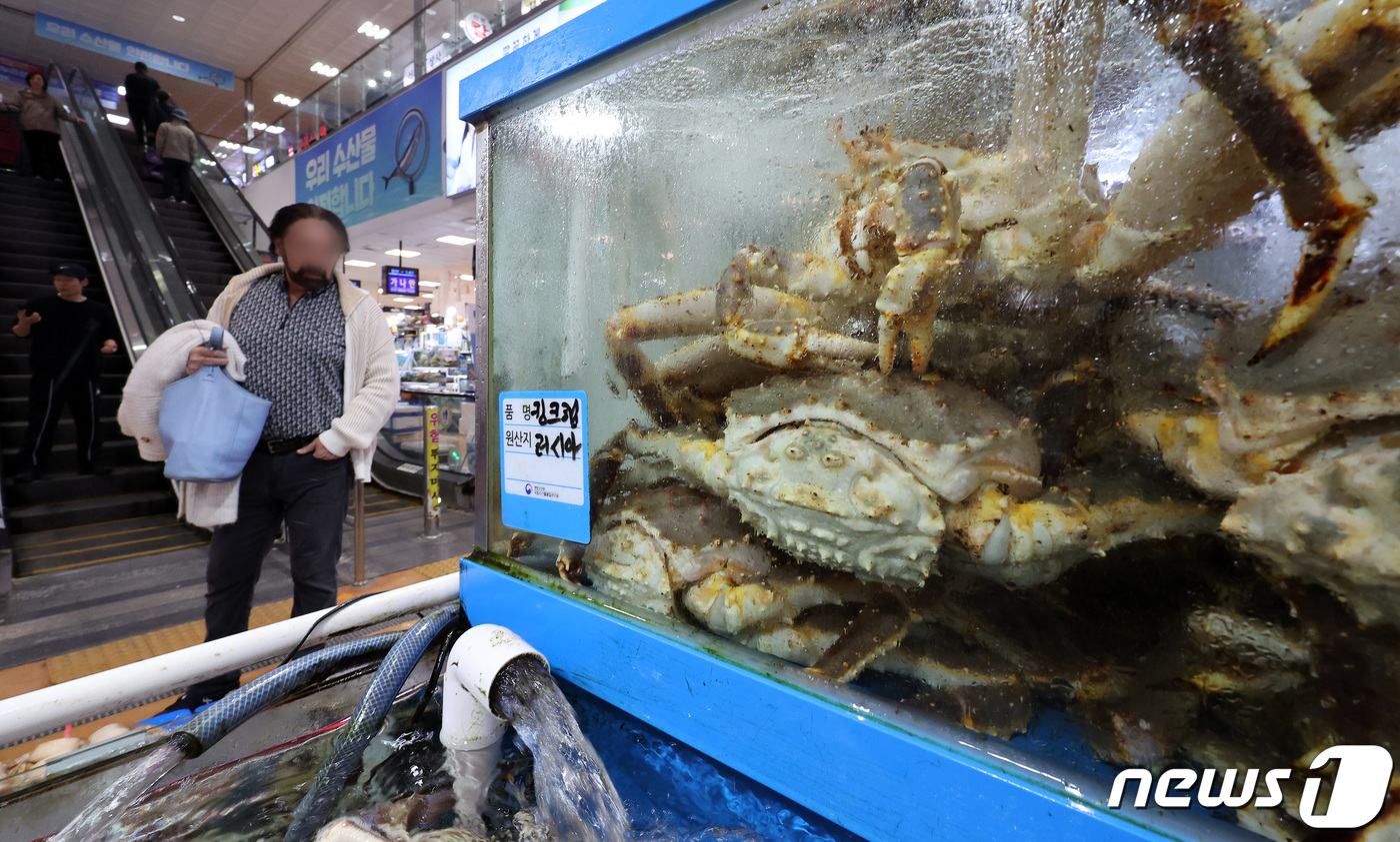 (서울=뉴스1) 이동해 기자 = 17일 서울 노량진 수산시장에 킹크랩이 진열돼 있다.전국 주요 수산시장의 러시아 자연산 A급 특대 레드 킹크랩(살수율 80% 이상·3kg 이상) 가 …