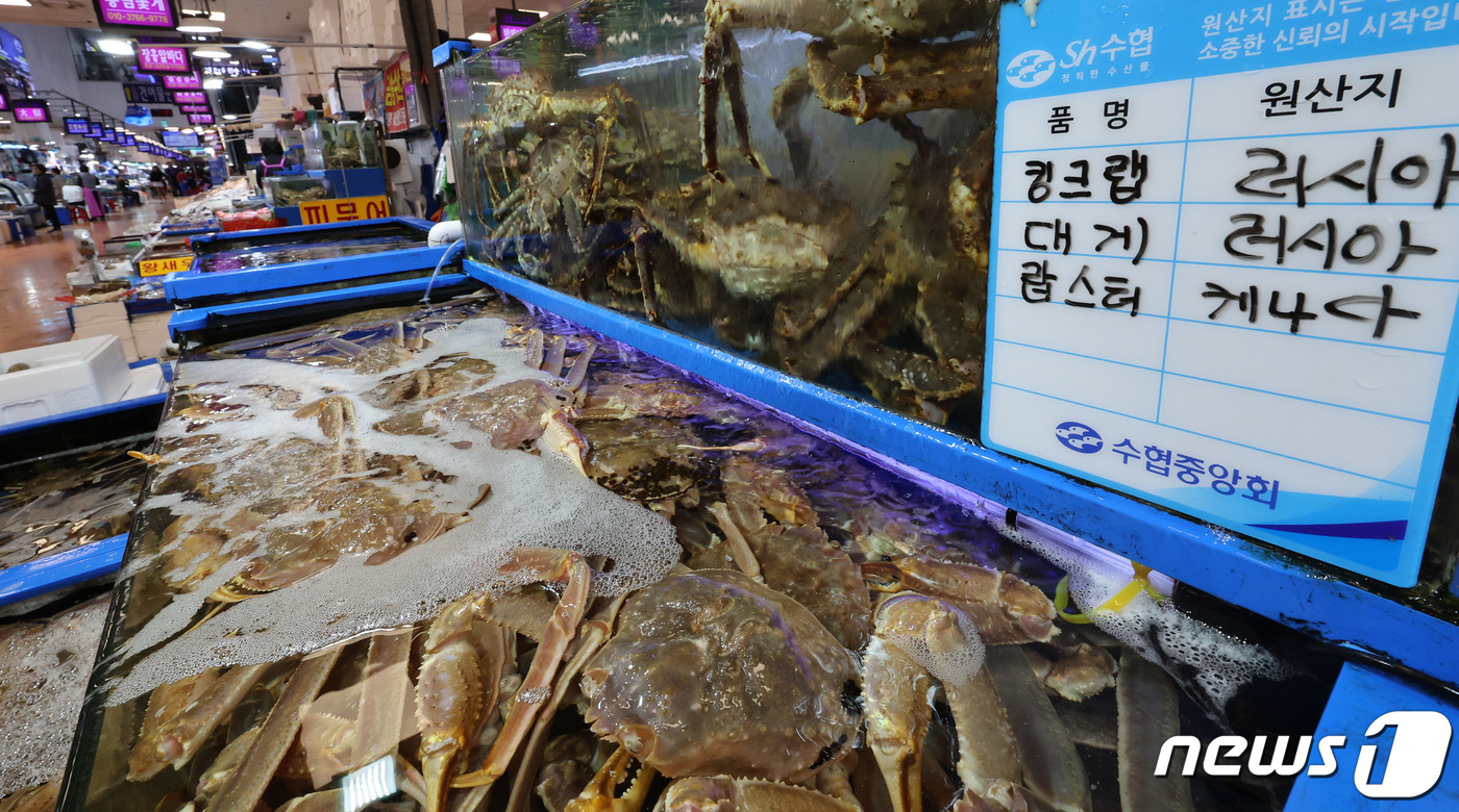 (서울=뉴스1) 이동해 기자 = 17일 서울 노량진 수산시장에 킹크랩이 진열돼 있다.전국 주요 수산시장의 러시아 자연산 A급 특대 레드 킹크랩(살수율 80% 이상·3kg 이상) 가 …