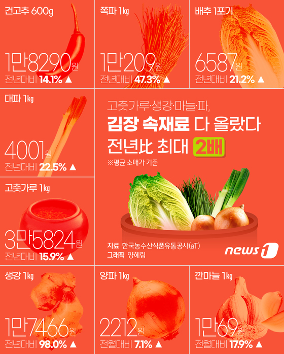 [오늘의 그래픽] 고춧가루·생강·마늘·파, 김장 속재료 다 올랐다…전년比 최대 2배