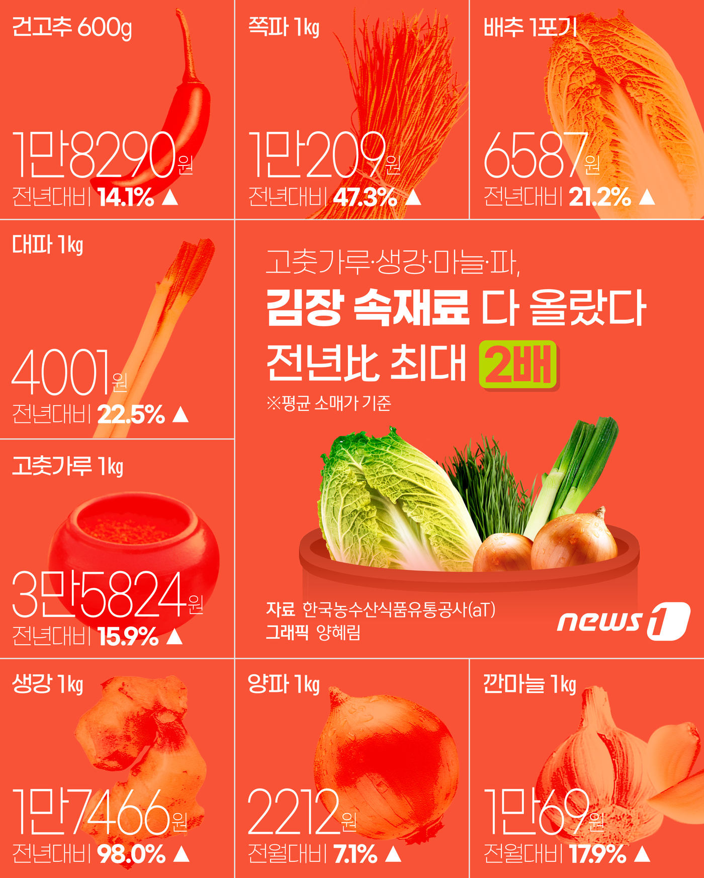 (서울=뉴스1) 양혜림 디자이너 = 18일 한국농수산식품유통공사(aT)의 농산물유통센터(KAMIS)에 따르면 지난 17일 기준 생강 1㎏ 소매가는 1만7466원, 고춧가루 1㎏은 …