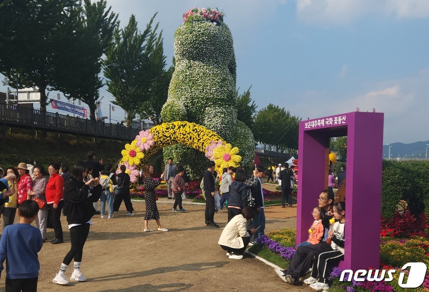 2023보은대추축제장에 설치한 국화 꽃동산을 찾은 가족 단위 관광객들이 즐거운 시간을 보내고 있다. &#40;보은군 제공&#41; /뉴스1