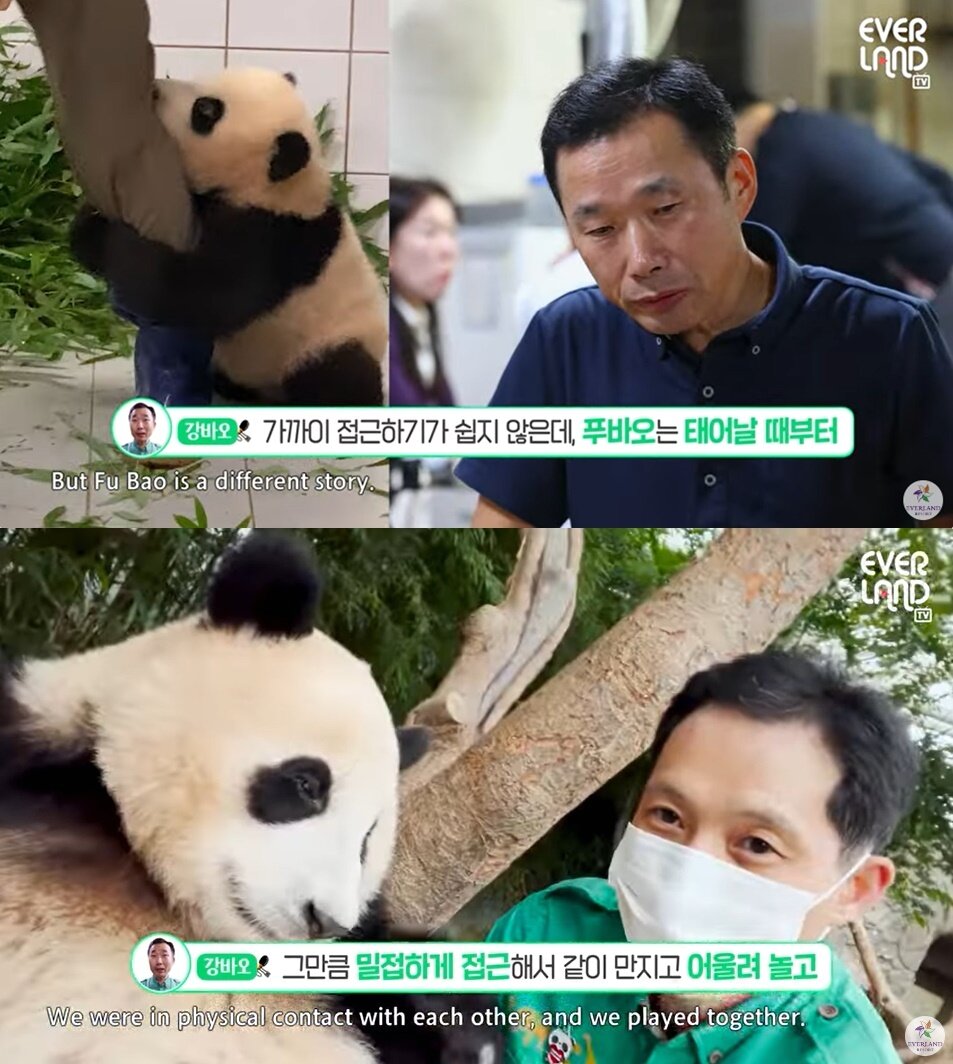 본문 이미지 - (에버랜드 유튜브 채널 갈무리)