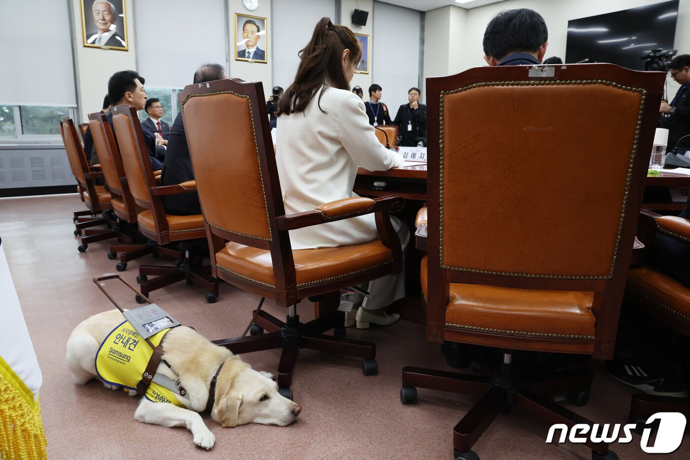 본문 이미지 - 김예지 국민의힘 의원이 여의도 국회에서 안내견 조이와 함께 참석하고 있다. 2023.10.19/뉴스1 ⓒ News1 송원영 기자