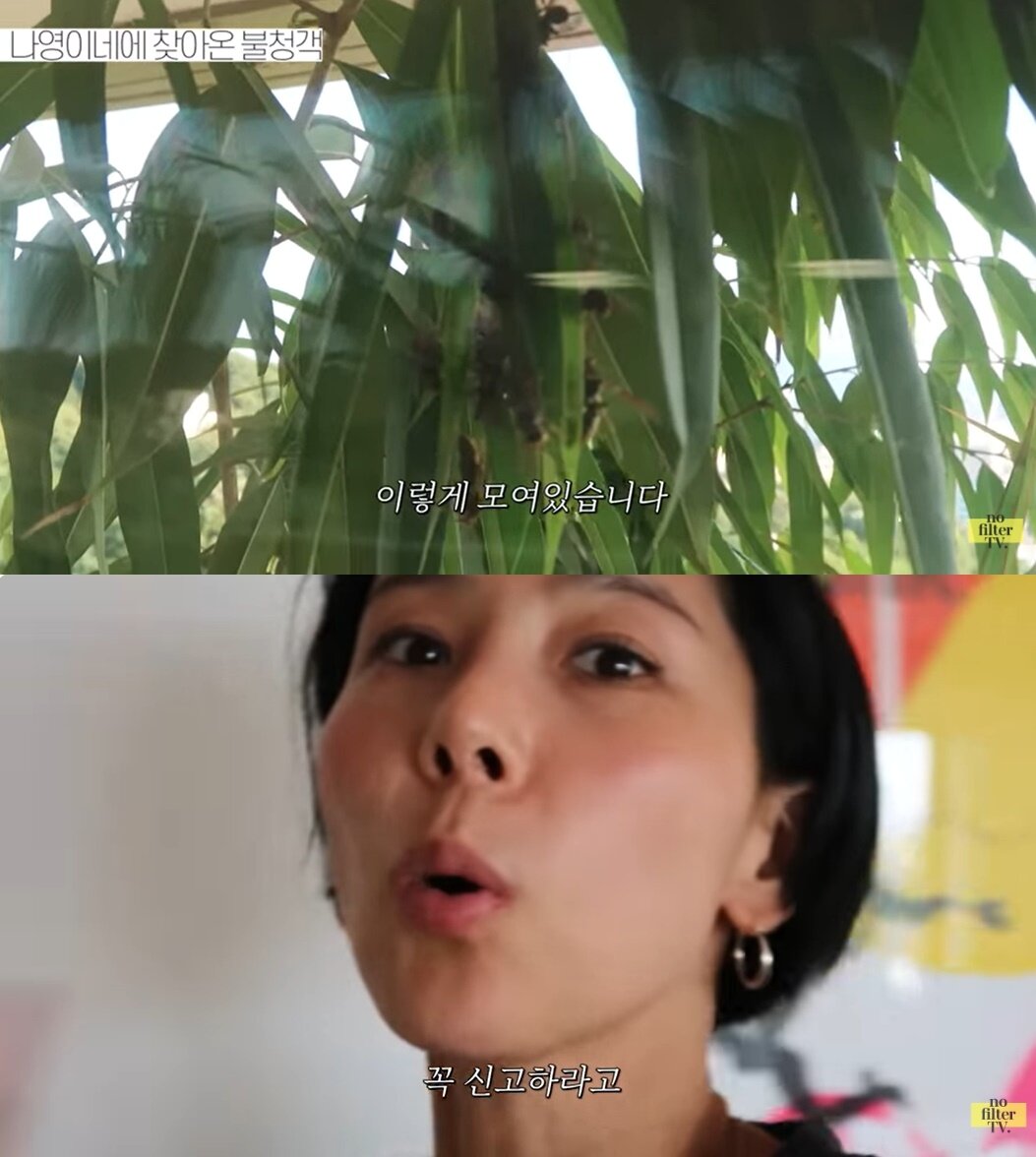 본문 이미지 - (유튜브 채널 '김나영의 노필터TV' 갈무리)