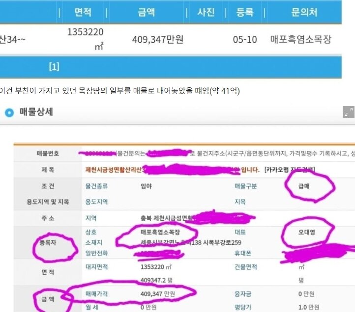 본문 이미지 - 17기 옥순 아버지가 갖고 있던 충북 제천땅의 일부, 40만평을 매물로 내놨다는 주장이 나오고 있다. 온라인 커뮤니티 갈무리