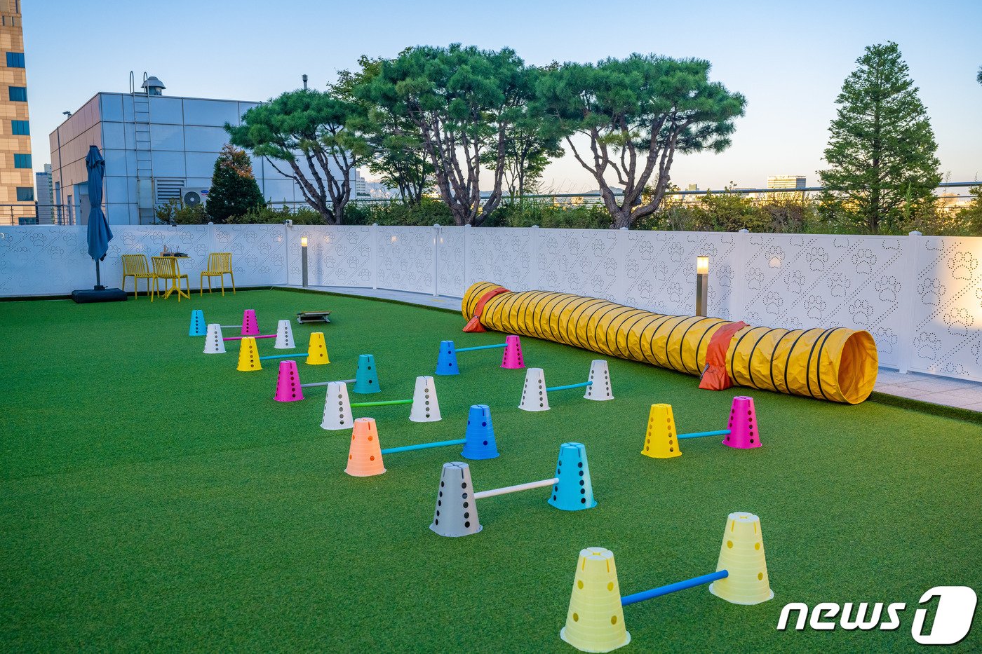 본문 이미지 - 펠로덮인친구들 펫파크 목동점의 놀이기구(서울관광재단 제공)