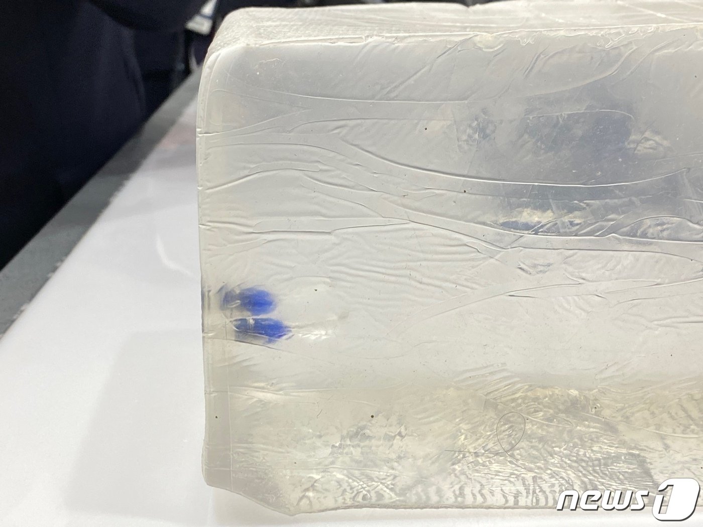 본문 이미지 - 저위험권총이 총알이 인체와 유사한 유토에 박힌 모습. 평균 5cm 박힌다.