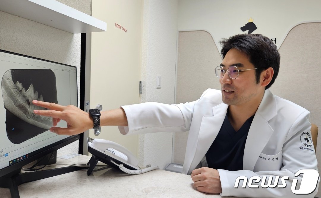 본문 이미지 - 이성혁 VIP동물의료센터 청담점 치과센터 과장이 사람과 다른 반려동물 구강구조에 대해 설명하고 있다. ⓒ 뉴스1 최서윤 기자