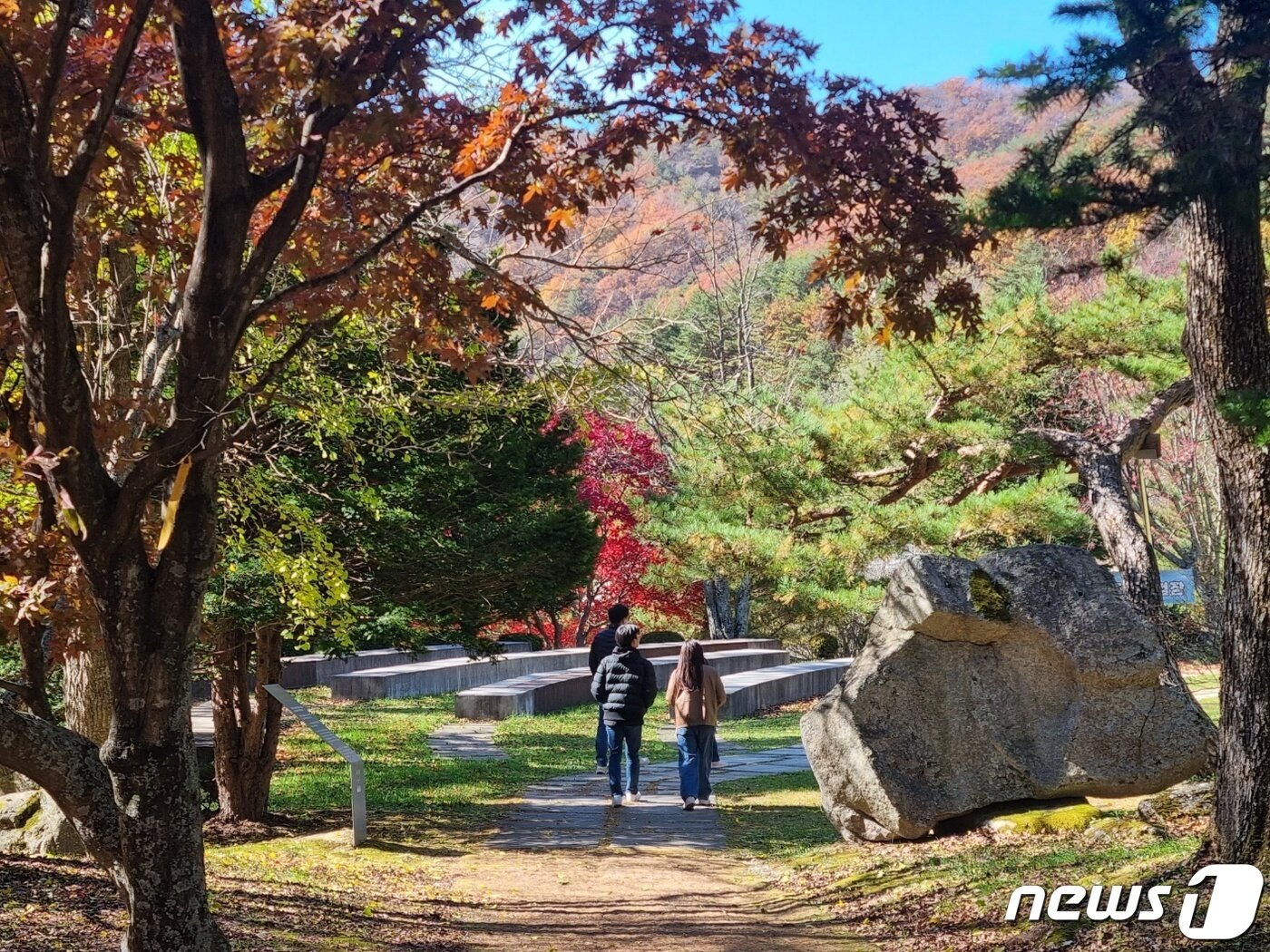 본문 이미지 - 올 가을 단풍 절정기에 접어든 22일 강원 평창군 대관령면에 위치한 대관령 하늘목장을 찾은 나들이객들이 즐거운 시간을 보내고 있다. 2023.10.22/뉴스1 ⓒ News1 윤왕근 기자