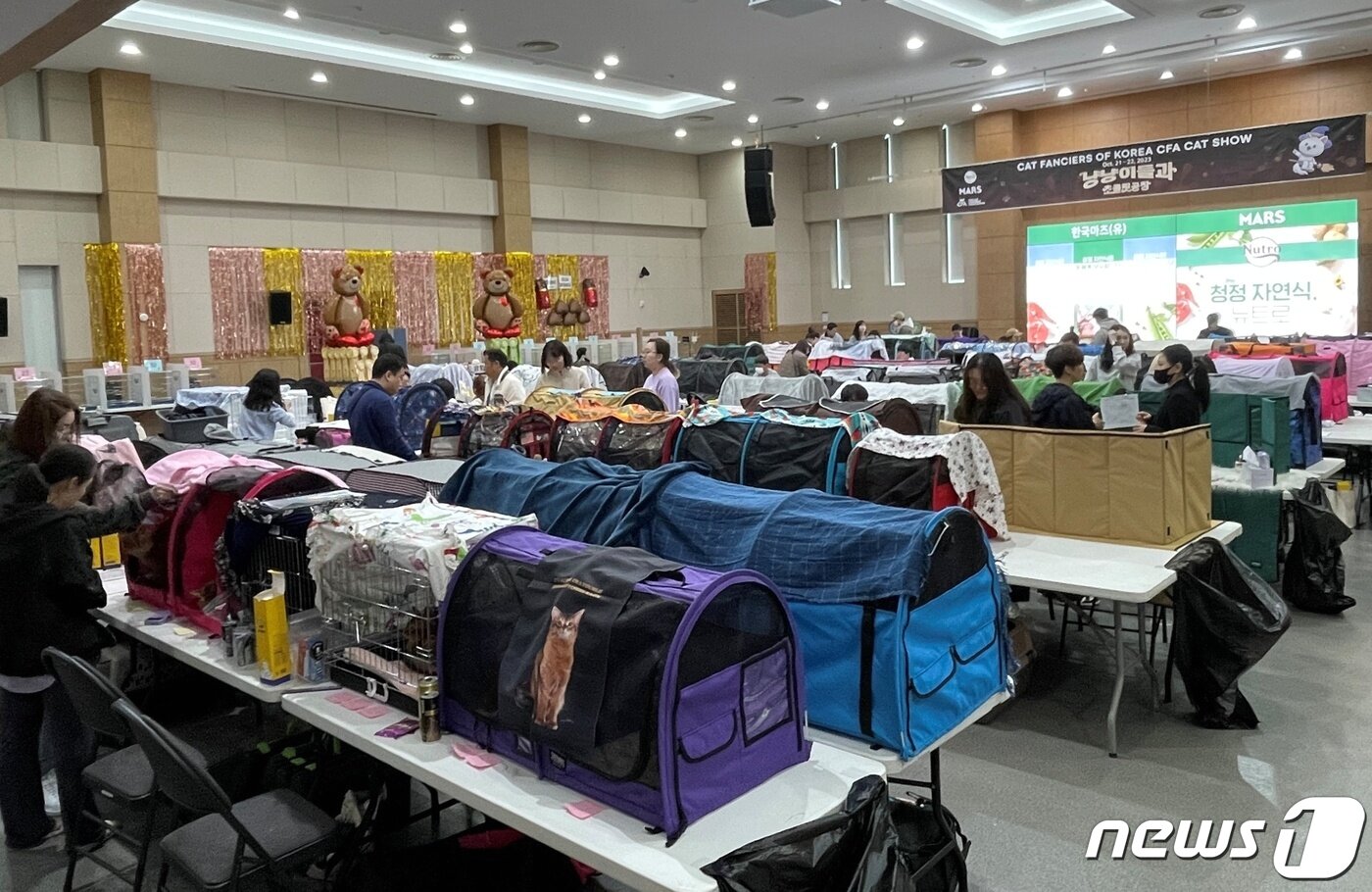 본문 이미지 - 21일 시흥에서 열린 CFA 행사장 전경(한국마즈 제공) ⓒ 뉴스1