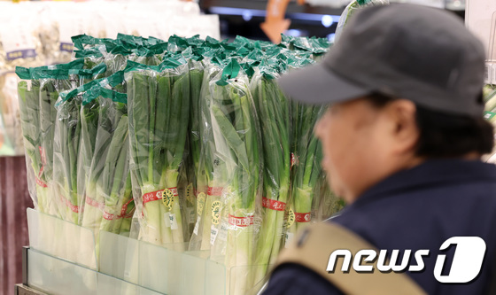 정부, 김장철 앞두고 대파 가격안정 유도