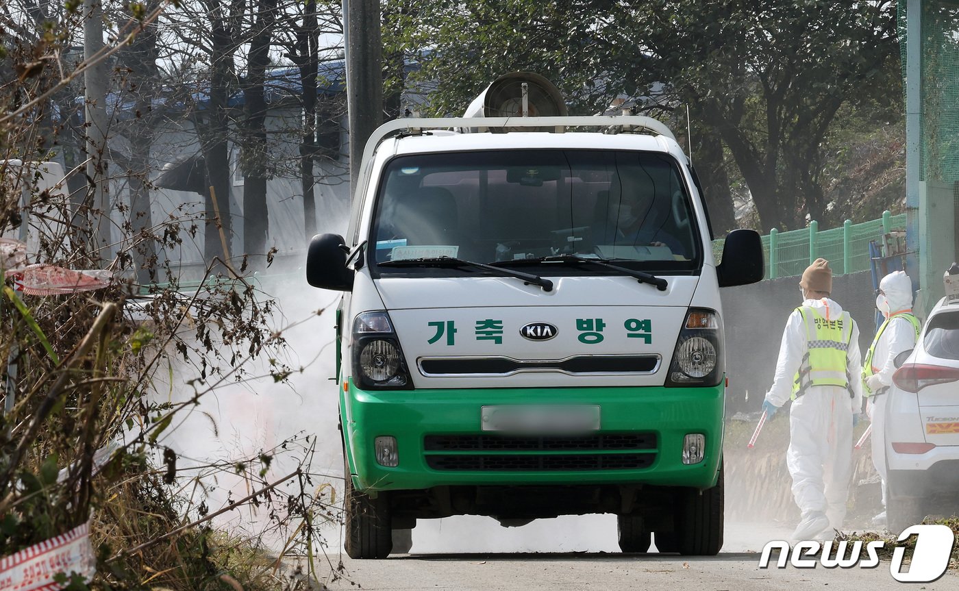 본문 이미지 - 소 바이러스 질병인 럼피스킨병이 빠르게 확산되고 있는 23일 경기 김포시 하성면의 한 축산 농가에서 방역차가 방역을 하고 있다. 2023.10.23/뉴스1 ⓒ News1 이동해 기자