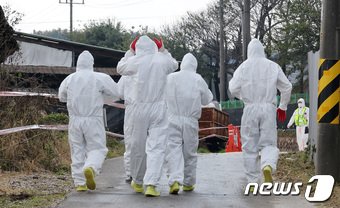 소 바이러스 질병인 럼피스킨병이 빠르게 확산되고 있는 지난 23일 경기 김포시 하성면의 한 축산 농가에서 방역복을 입은 검역관들이 이동하고 있다. 2023.10.23/뉴스1 ⓒ News1 이동해 기자