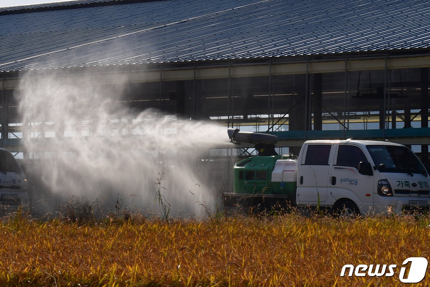 본문 이미지 - 24일 경북 포항시 축산방역팀이 축협공동방제단과 함께 북구 기계면 한우농장에서 &#39;소 럼피스킨병&#40;LSD&#41;&#39; 확산 차단방역을 하고 있다.202310.24/뉴스1 ⓒ News1 최창호 기자