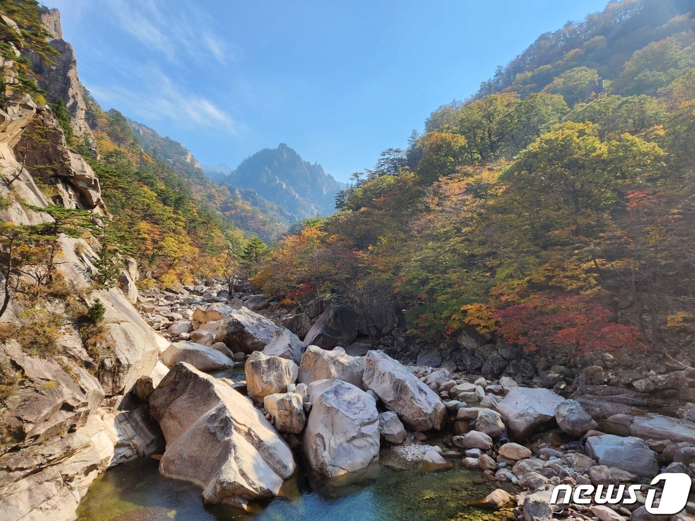 본문 이미지 - 지난 24일 설악산 비선대에 물든 단풍.(설악산국립공원사무소 제공) 2023.10.25/뉴스1