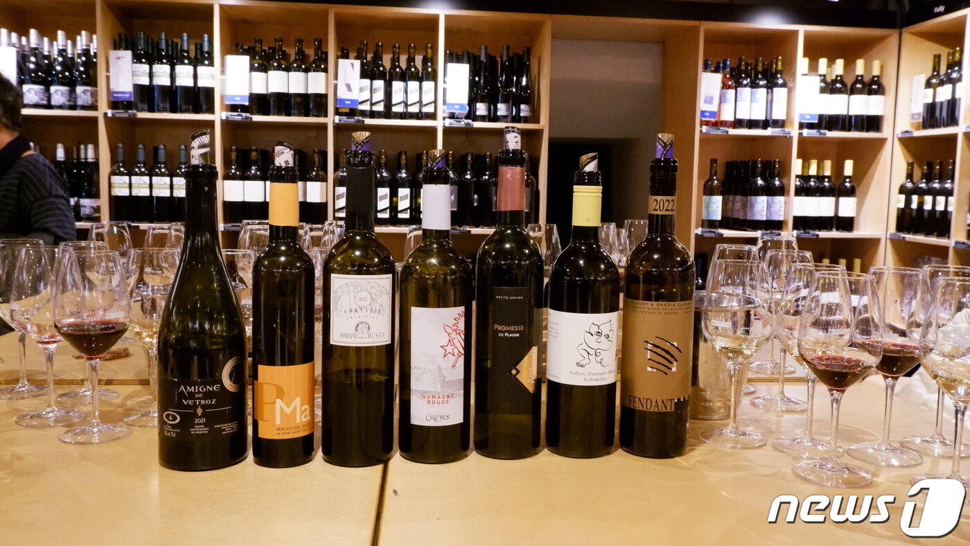 본문 이미지 - 다양한 발레주 와인ⓒ News1 
