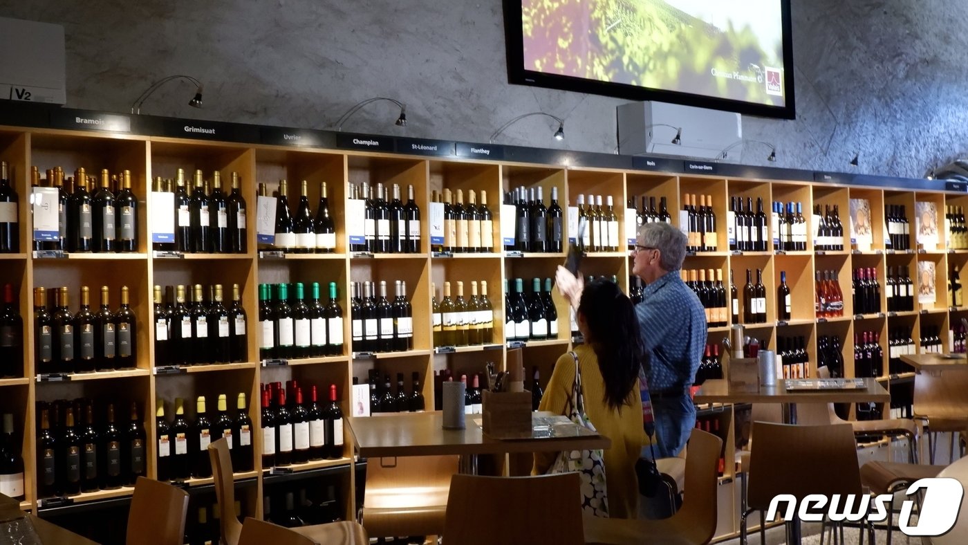 본문 이미지 - 와인 박물관에서 구매할 와인을 고르는 방문객들의 모습ⓒ News1 