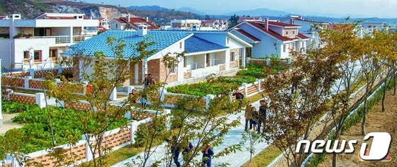 북한 "마을길에 나무 심기… 몰라보게 변모한 농촌"