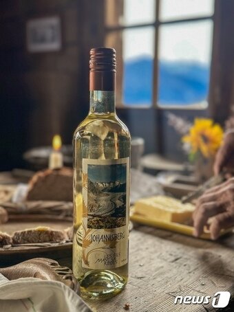 본문 이미지 - 알레취 현지에서 맛볼 수 있는 와인ⓒ News1 