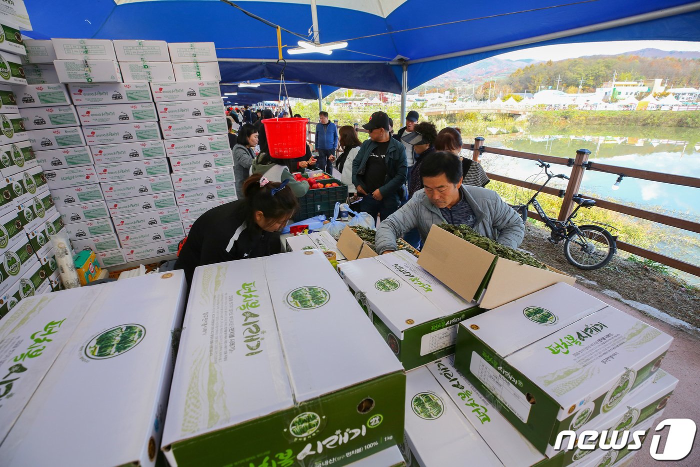 ‘2023 청춘양구 펀치볼 시래기·사과축제’가 지난 28일 오후 해안면 펀치볼 힐링하우스 앞 성황지 일원에서 열렸다. ‘펀치볼로 돌아가기’라는 주제로 열리는 이번 축제는 29일까지 이틀간 이어진다.&#40;양구군 제공&#41; 2023.10.29/뉴스1 ⓒ News1 이종재 기자