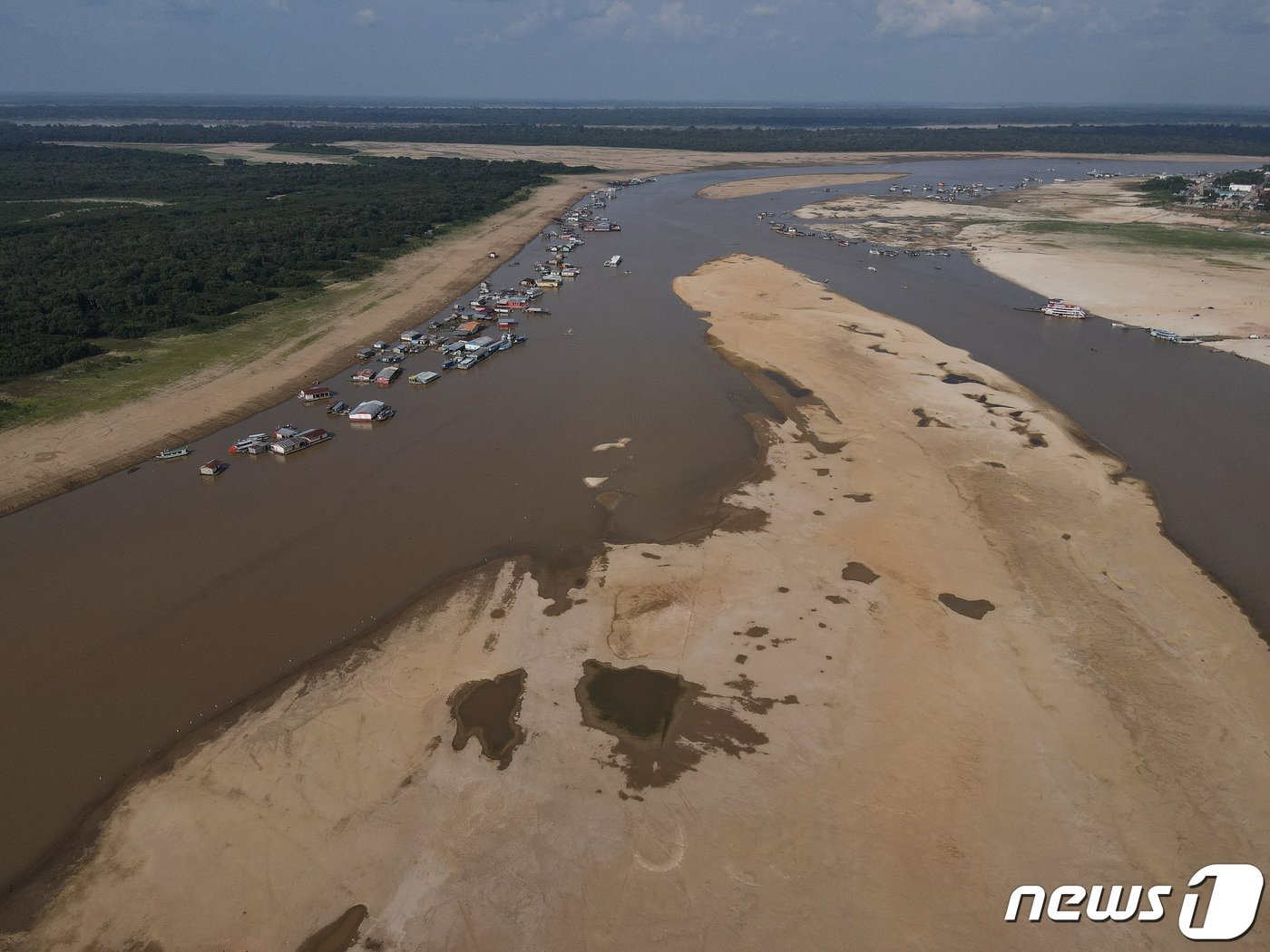 본문 이미지 - 아마존 테페 호수에서 수온이 섭씨 39도로 상승하면서 지난 한 주간 분홍 돌고래 120여마리의 사체가 발견됐다. 2023.10.01. ⓒ 로이터=뉴스1 ⓒ News1 정윤영 기자