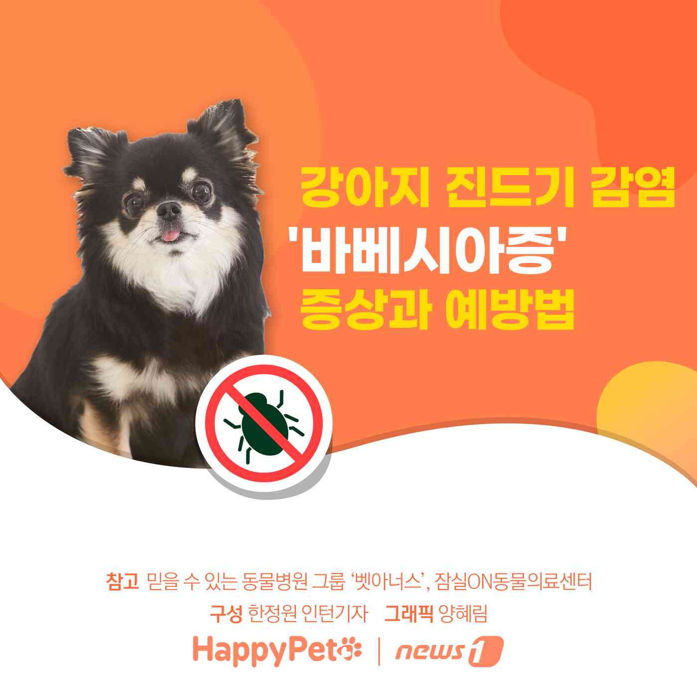강아지 진드기 감염 펫카드