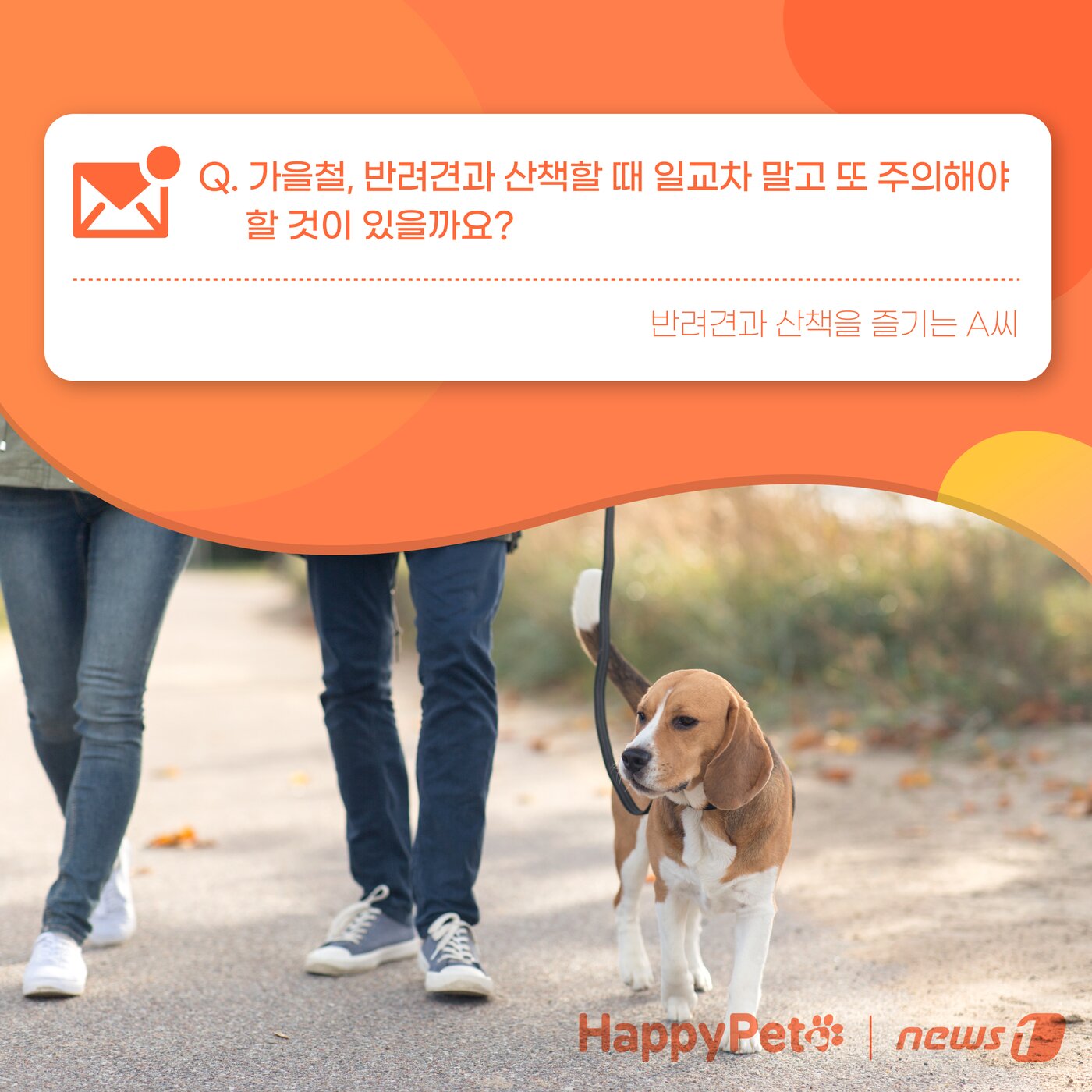 본문 이미지 - 강아지 진드기 감염 펫카드