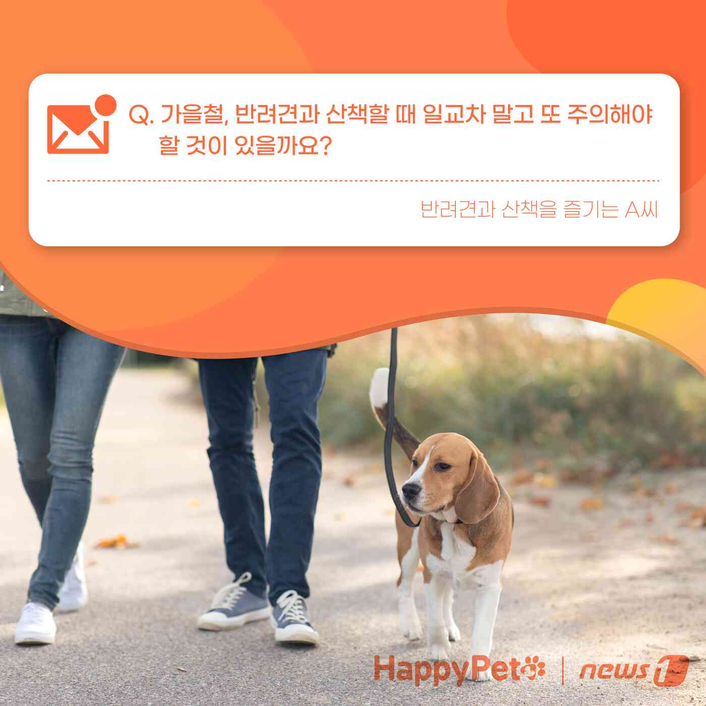 강아지 진드기 감염 펫카드
