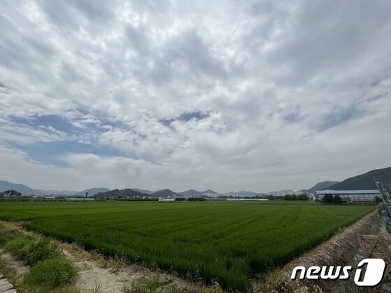 본문 이미지 - 김해풍유물류단지 부지 전경. /뉴스1 ⓒ News1 송보현 기자