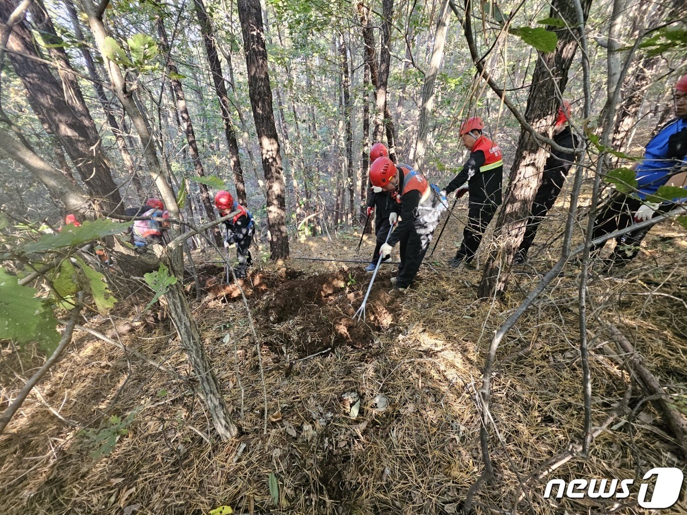 보은군 산불진화대원이 산불을 가상해 훈련하는 장면. &#40;보은군 제공&#41; /뉴스1 