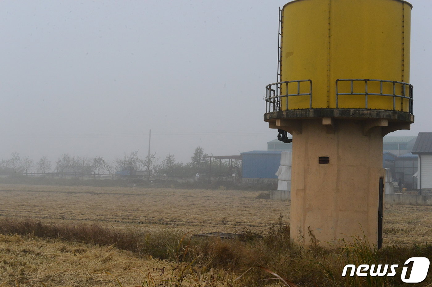 본문 이미지 - 경남에서 첫 럼피스킨병이 발병한 농가에서 살처분한 소들을 매몰하는 작업을 하고 있다. 2023.10.31 ⓒ 뉴스1 박민석 기자