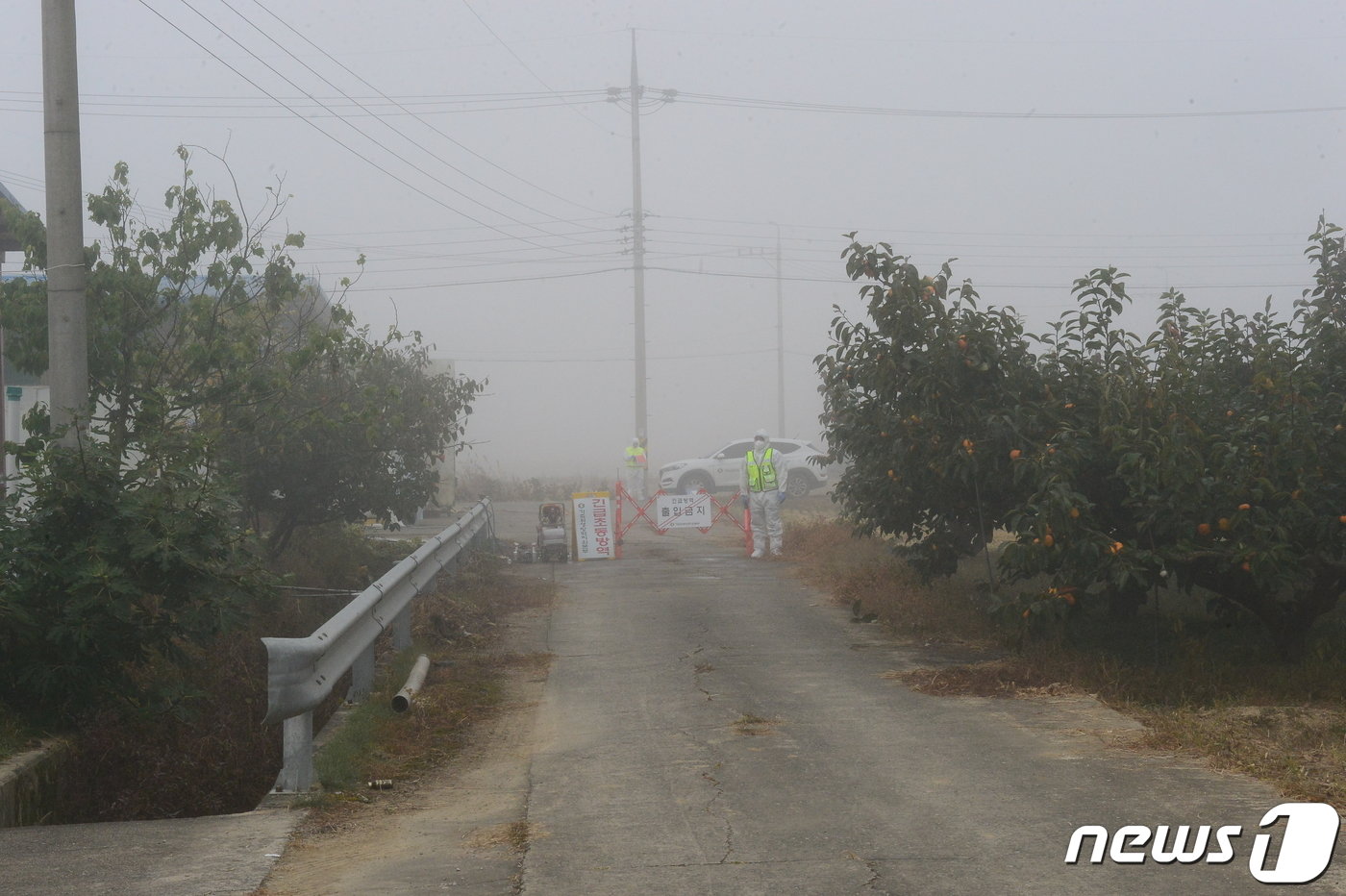 본문 이미지 - 31일 오전 창원시 의창구 대산면의 럼피스킨병 발병 농가 인근을 방역당국이 통제하고 있다. 2023.10.31 ⓒ 뉴스1 박민석 기자