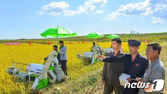 가을걷이 중인 북한 농민들…"나라 쌀독 책임진 마음으로"