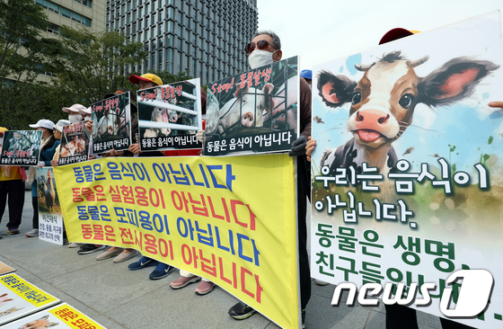 한국동물보호연합, 세계 동물의 날 맞아 기자회견