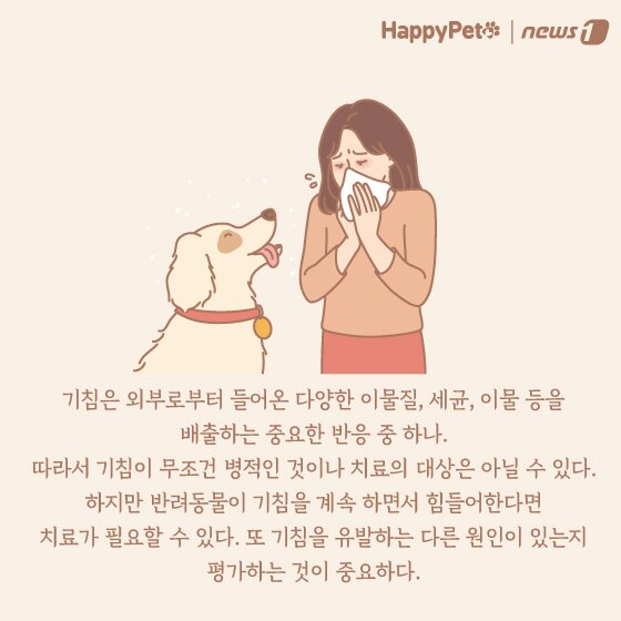 본문 이미지 - 강아지 호흡기 질환 펫카드