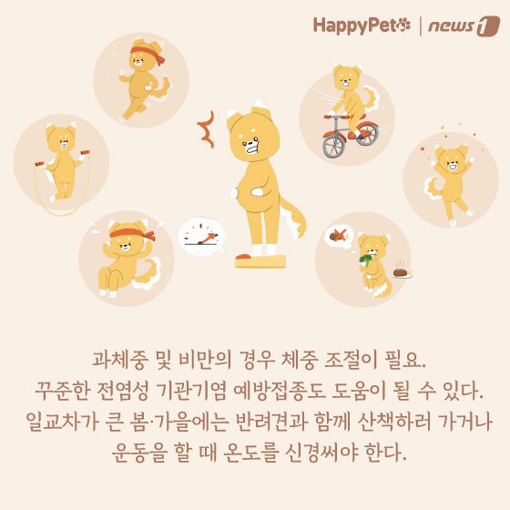 본문 이미지 - 강아지 호흡기 질환 펫카드