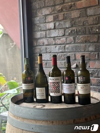 본문 이미지 - GWW 2023에서 선보이는 포트와인 News1 윤슬빈 기자