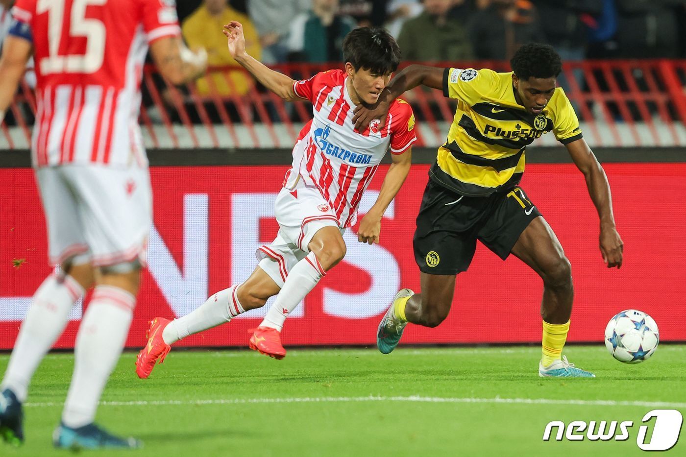 본문 이미지 - 4일 베오그라드 레드스타 스타디움에서 열린 유럽축구연맹(UEFA) 챔피언스리그 1라운드 2차전 FC 크르베나 즈베즈다(레드스타 베오그라드)와 BSC 영보이즈 베른의 G조 경기에서 황인범이 영보이즈 포르투갈 포워드 조엘 몬테이로와 볼 경합을 하고 있다. ⓒ AFP=뉴스1 ⓒ News1 이형진 기자