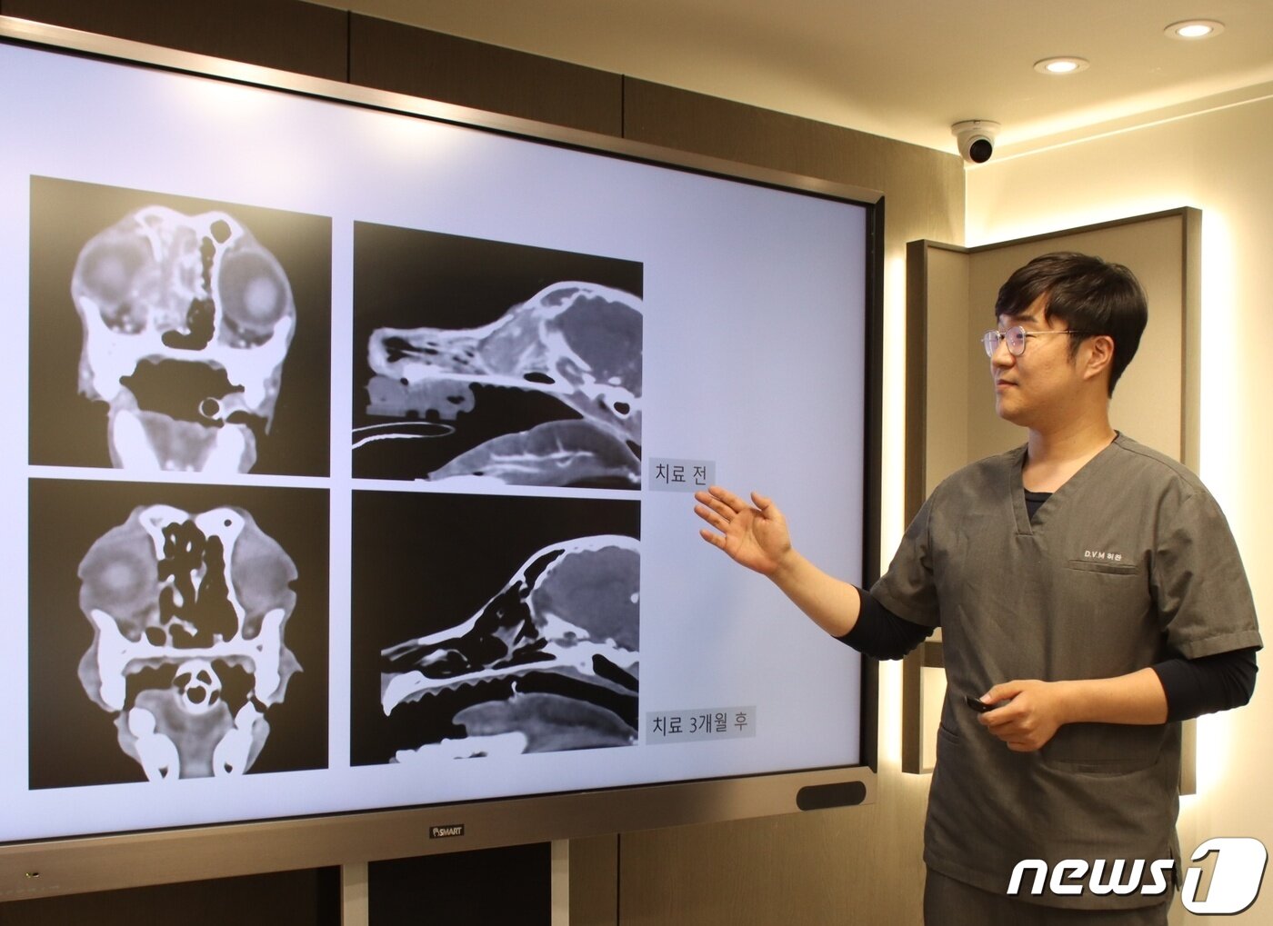 본문 이미지 - 반려동물 치료 경과에 대해 설명 중인 허찬 원장(에스동물암센터 제공) ⓒ 뉴스1