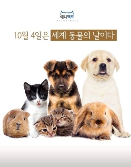 본문 이미지 - 인플루언서 유혜원이 SNS를 통해 의미심장한 글을 남겼다. 인스타그램 갈무리