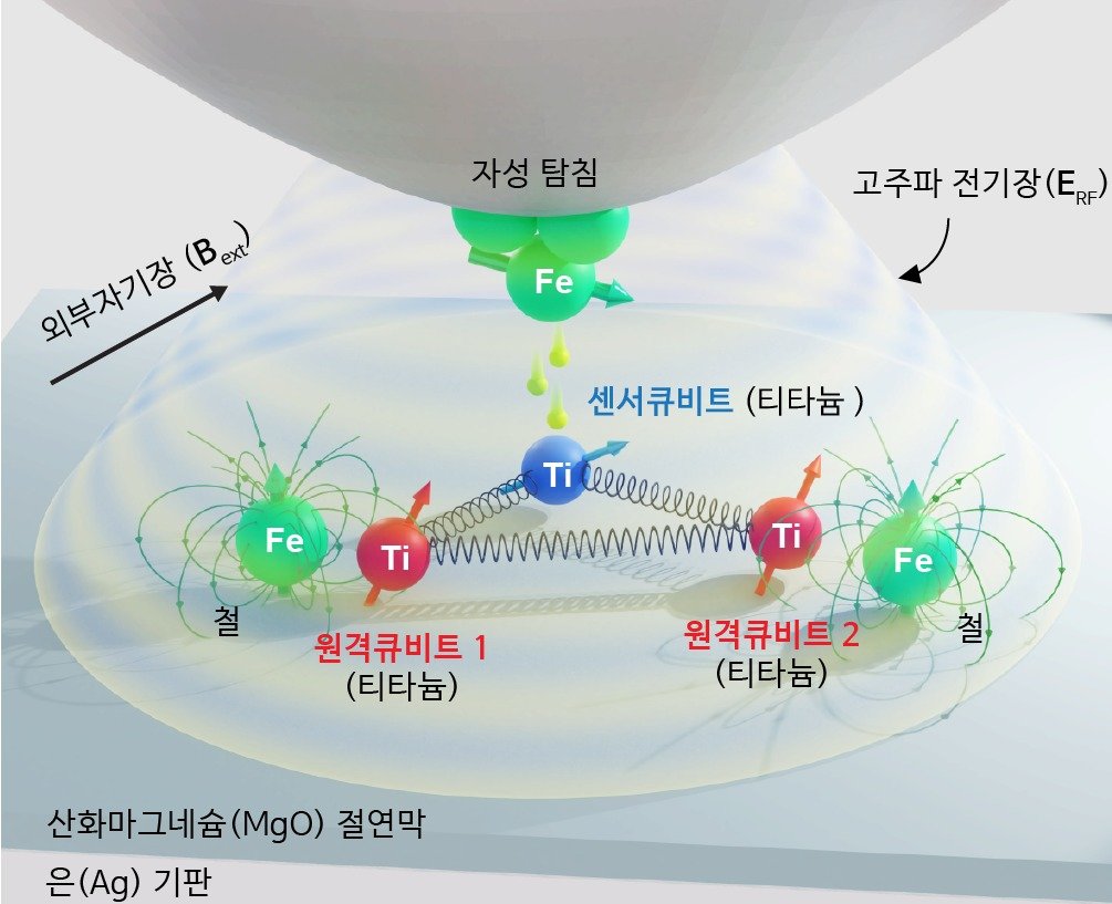 본문 이미지 - 단일 원자 전자 스핀 큐비트의 3차원 모식도. 세 큐비트는 모두 산화마그네슘 표면 위 티타늄 원자들이며 STM 탐침 아래 위치한 하나의 센서 큐비트와 탐침과 떨어진 두 개의 원거리 큐비트들로 구성된다. 센서 큐비트의 양자상태는 자화된 탐침이 만드는 불균일한 자기장과 결합한 탐침-기판 간 고주파 전압으로 제어하고 각 철 원자는 탐침을 대신해서 주위 원거리 큐비트의 양자상태를 제어하는데 필요한 불균일한 자기장을 제공한다. (기초과학연구원 양자나노과학연구단 제공) 2023.10.05 /뉴스1