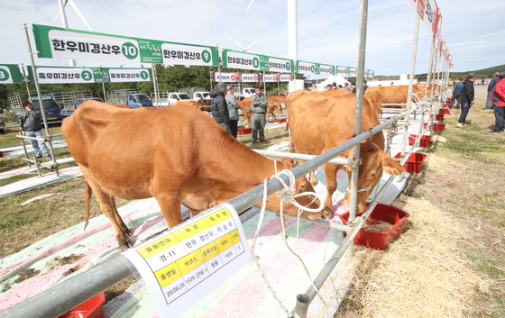 제주도 "3년 내 구제역 발생 지역 우제류 반입 제한"